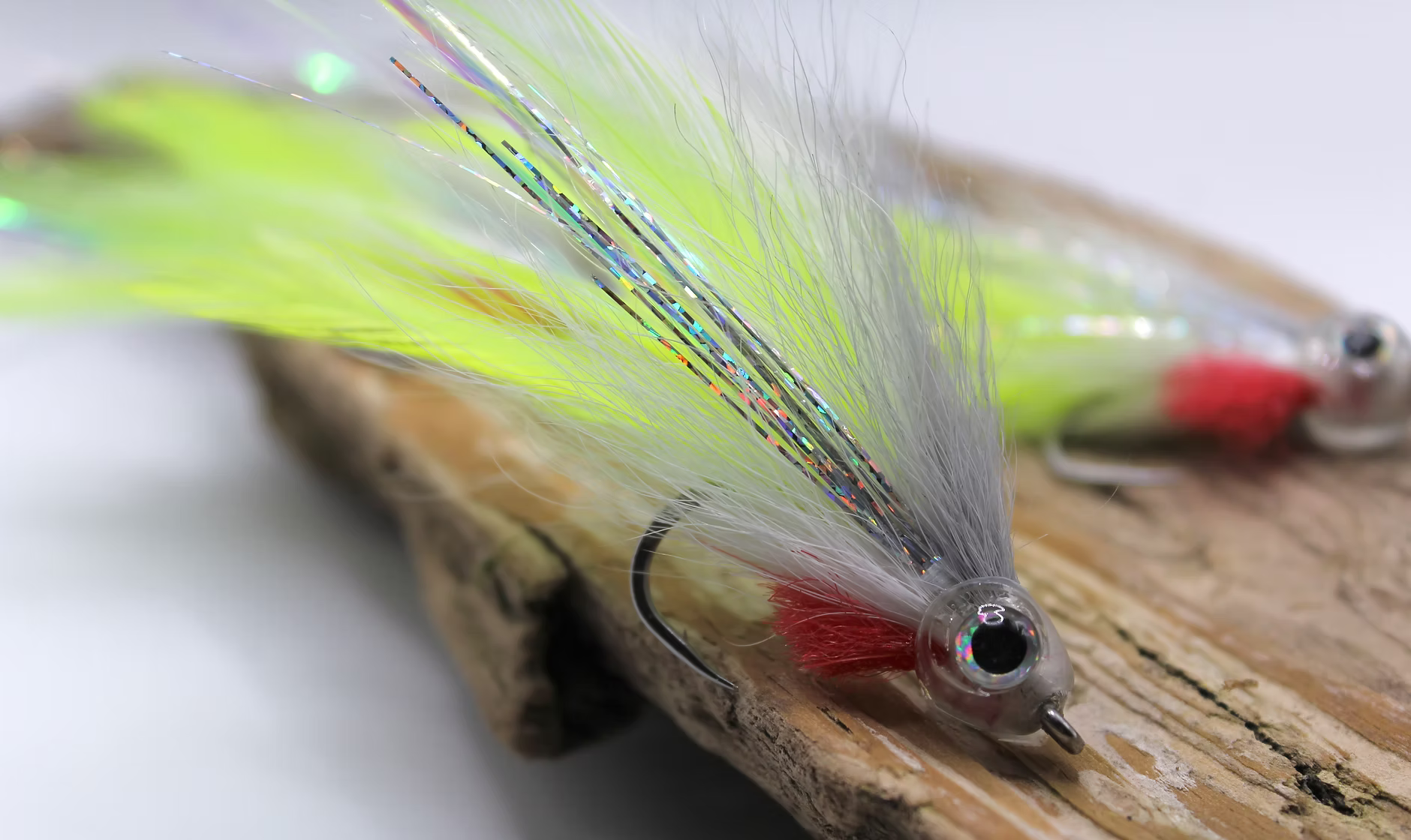 Bluefish caught by Ben S.