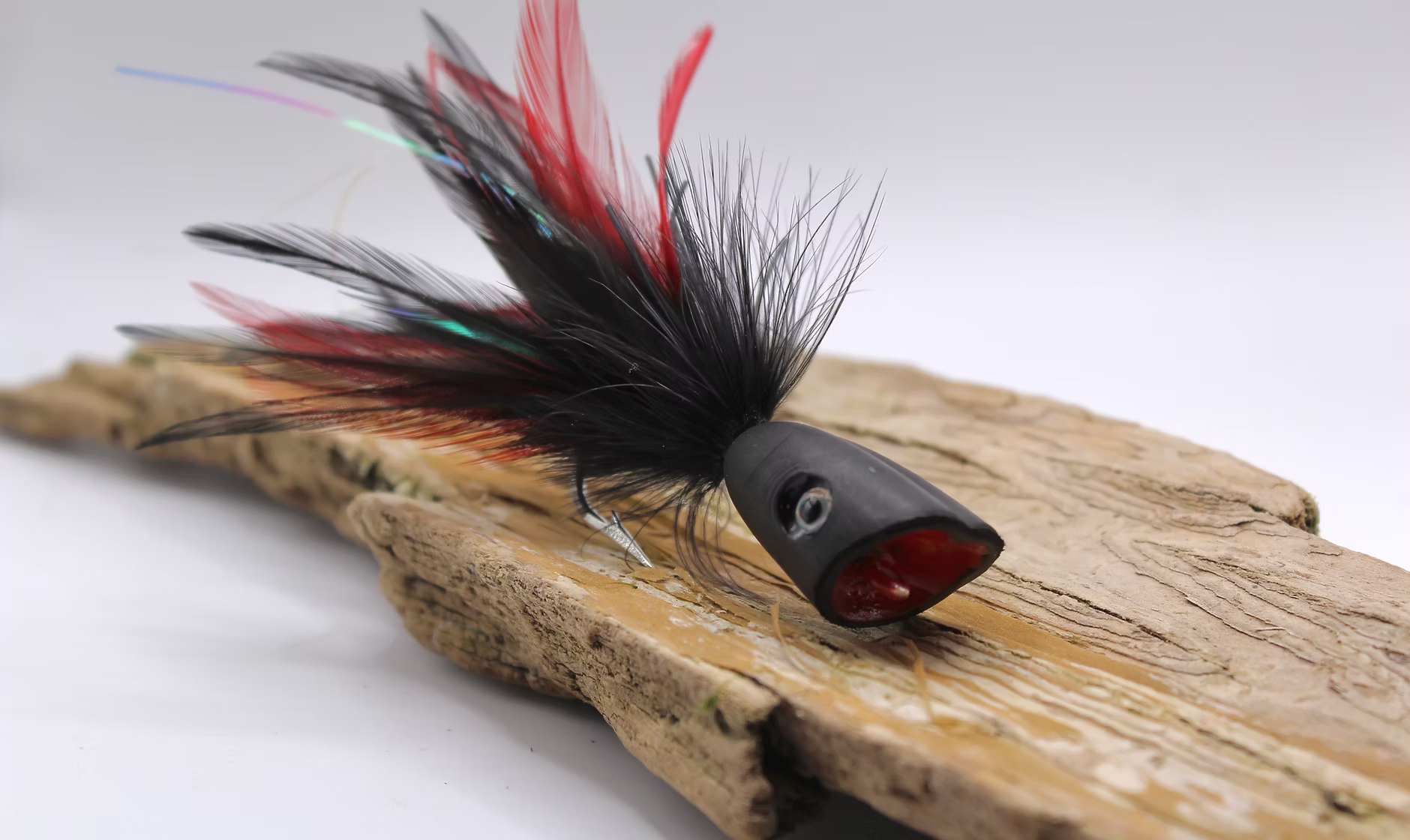 Morning light on the tributaries