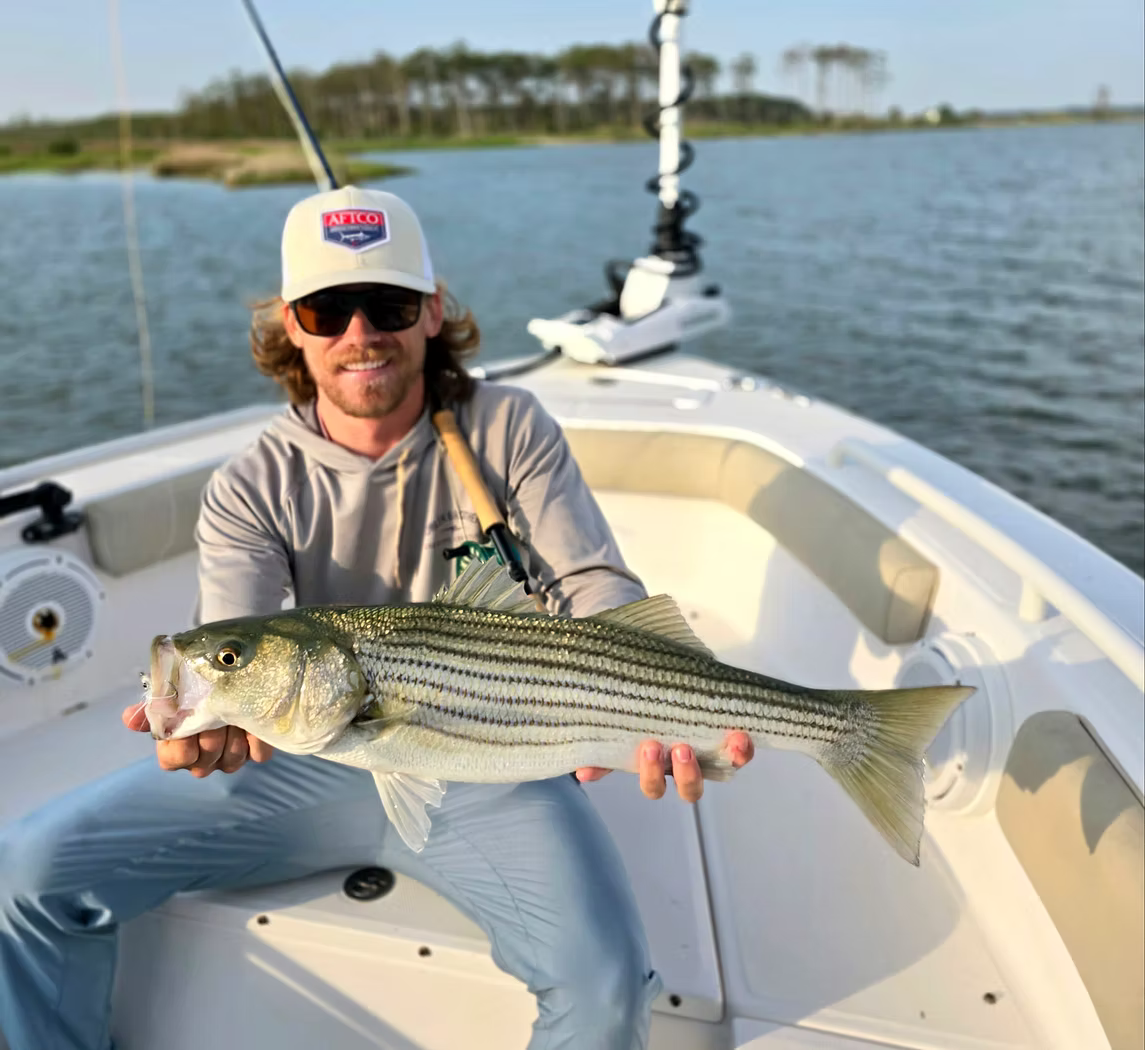 Striper catch on the Chesapeake